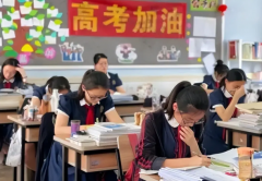 高考甚至考研读博改变了自己的命运教育